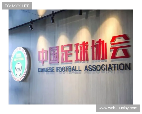 足球遗产计划：推动足球运动持续发展的战略与实践
