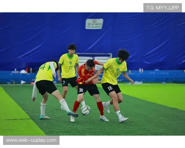 法国业余联赛关注度上升，基层足球参与度创新高